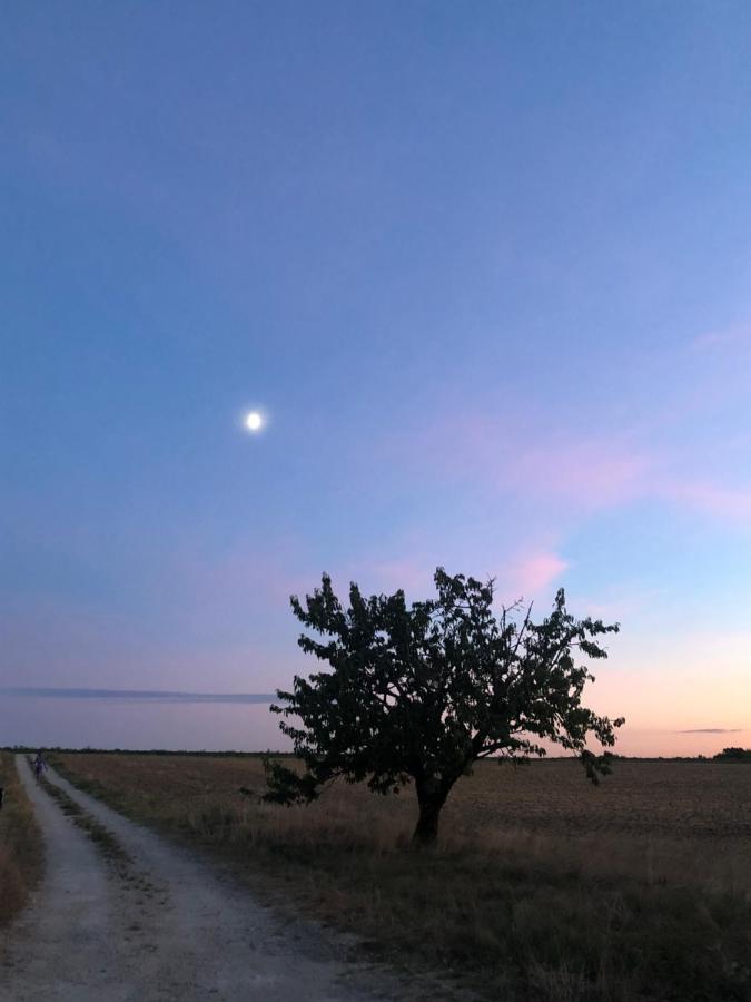 Domaine Des Chabriers Panzió Ourches Kültér fotó